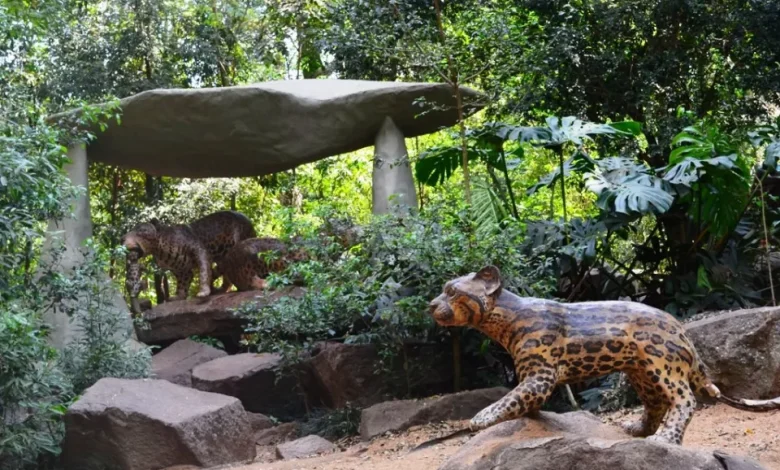 PARQUE DO INGA durepoxi Novos projetos...ideias ultrapassadas