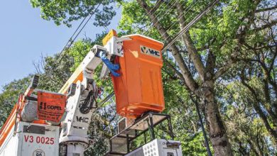 Foto de Vereador cobra Copel por descumprimento contratual na coleta de resíduos de poda em Maringá