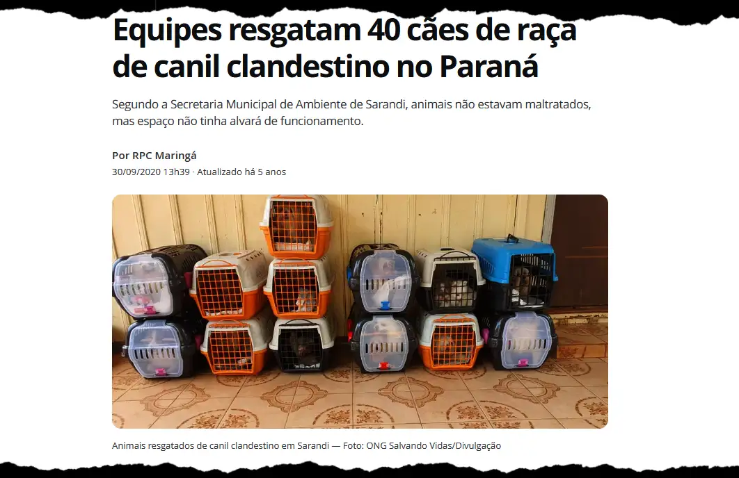 Vereador Lemuel do PDT acusado de se apropriar de doações para ONG irregular foi condenado em outro processo 2 caes Vereador Lemuel do PDT acusado de se apropriar de doações para ONG irregular foi condenado em outro processo