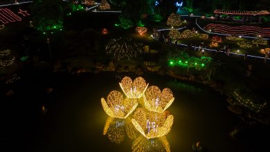 Foto de Prefeito anunciou Maringá Encantada até dia 11, prefeitura informa agora que prorrogou até 21 de janeiro