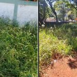 mato casa da crianca Casa da Criança fechada pela prefeitura de Maringá segue abandonada