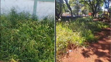 Casa da Criança fechada pela prefeitura de Maringá segue abandonada 2 Foto de Casa da Criança fechada pela prefeitura de Maringá segue abandonada