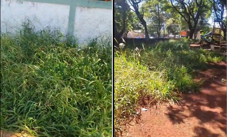 Casa da Criança fechada pela prefeitura de Maringá segue abandonada 1 mato casa da crianca Casa da Criança fechada pela prefeitura de Maringá segue abandonada