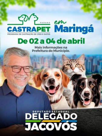 Maringá recebe 702 castrações gratuitas a partir desta quinta-feira 2 WhatsApp Image 2026 04 01 at 08.52.52 Maringá recebe 702 castrações gratuitas a partir desta quinta-feira