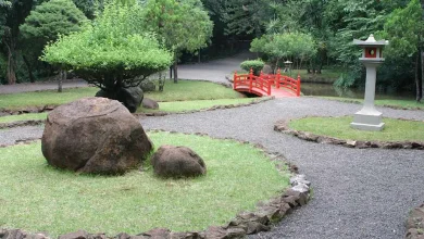 Foto de Jardim Japonês revitalizado