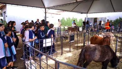 Mais de mil estudantes da rede municipal devem visitar a Expoingá 2026 3 Foto de Mais de mil estudantes da rede municipal devem visitar a Expoingá 2026