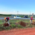 carreador epr Liminar causa indignação