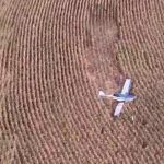aviao Avião faz pouso de emergência em área rural de Marialva