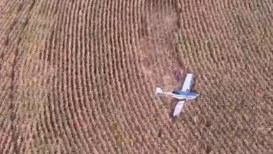 Foto de Avião faz pouso de emergência em área rural de Marialva