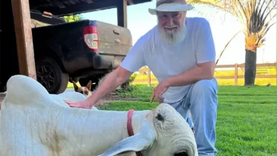 Foto de “Difícil deixarem”