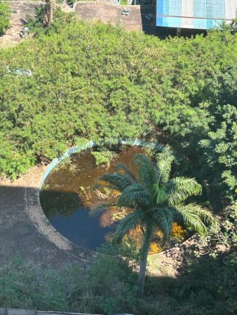 WhatsApp Image 2026 09 28 at 10.39.12 Moradores denunciam abandono do antigo Tropical Waterpark